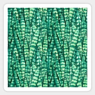 Sansevieria Trifasciata Pattern Sticker